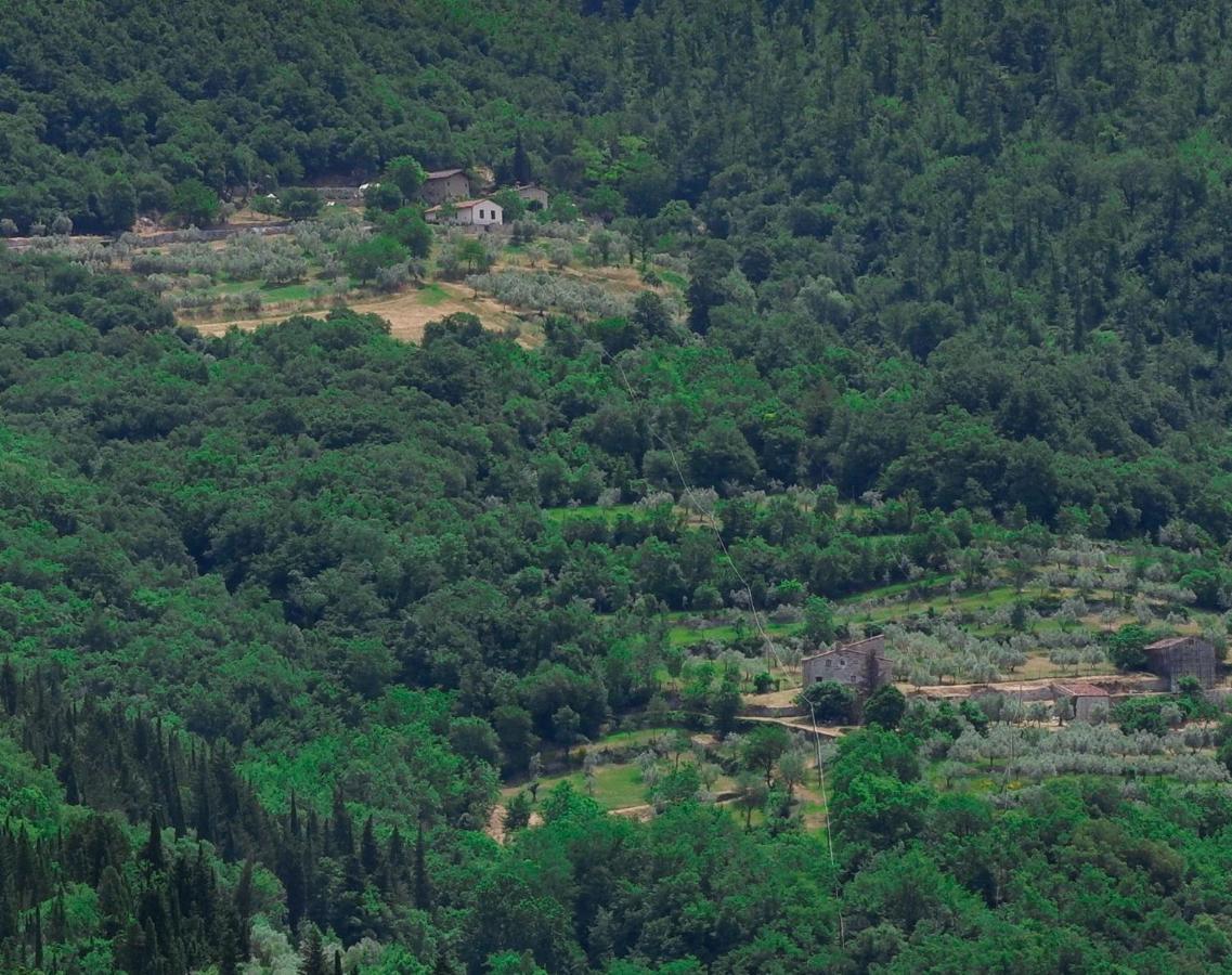 Villa Ancora Tenuta Lonciano Gualdo  Exterior foto